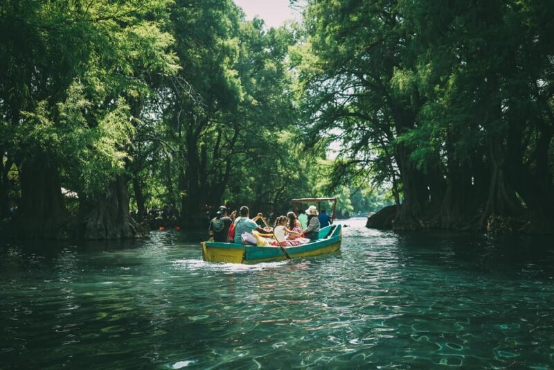 Galle Private Day Tours with Sea Turtles visit & Boat Safari - What You’ll Love About This Tour