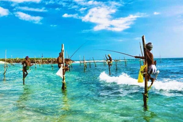 Galle Private Day Trip With River Safari & Stilt Fishermen - Customer Reviews and Feedback