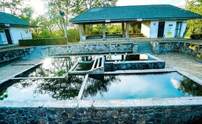 Galle: Udawalawa National Park Safari & Hot Springs Tour - The Experience in Detail