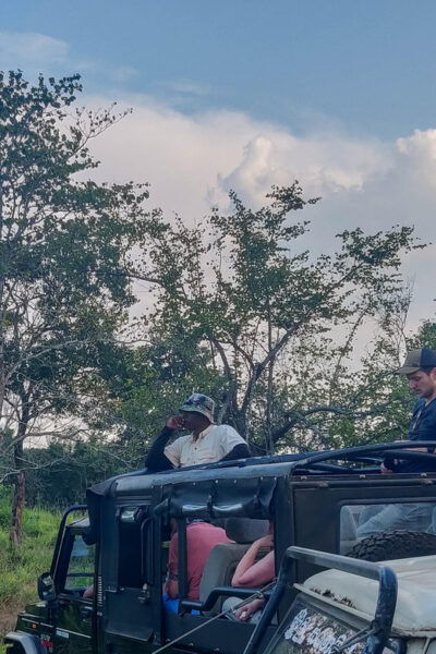 Galle: Udawalawe National Park Safari With Hotel Pickup - Important Considerations