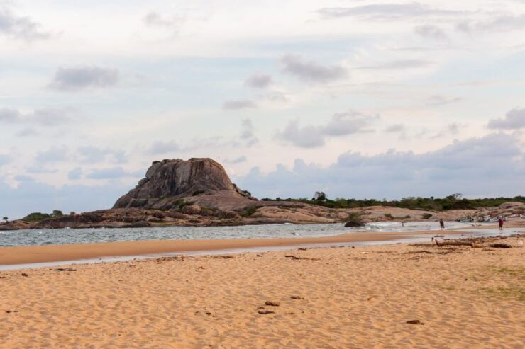 Galle/Unawatuna/Weligama/Mirissa: Yala National Park Safari - Safari Highlights