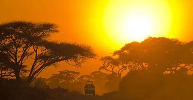 Galle/Unawatuna/Weligama/Mirissa: Yala National Park Safari - Transportation and Logistics
