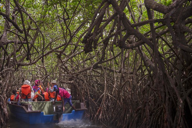 Galle via Bentota & Maadu River Sri Lanka for “Curd at Sunset” Privat Day Trip - Traveler Review and Highlights