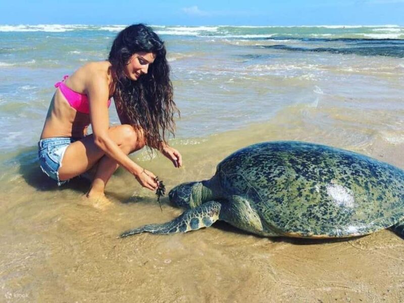 Galle with Turtle Hatchery & Mangrove Safari All Inclusive - Final Thoughts