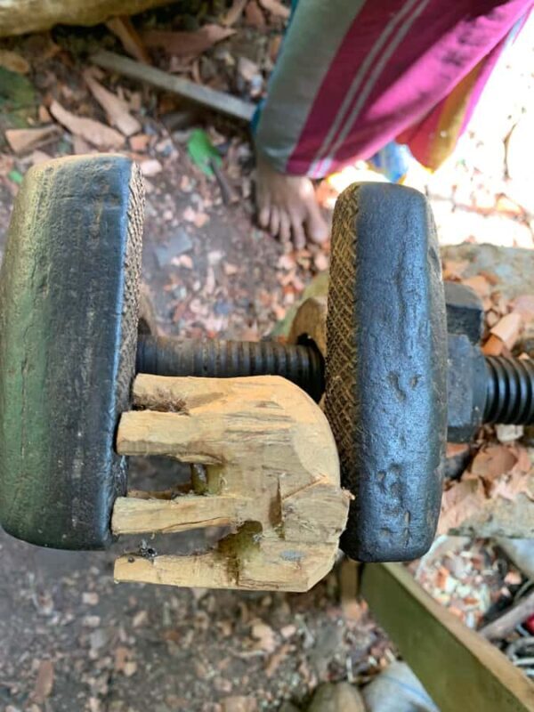 Galle: Wooden Elephant carving & Painting Workshop - The Sum Up