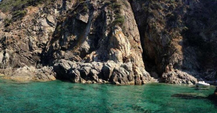 Gallery: Capelli 6.50 175 Hp Boat Rental - Activity Details