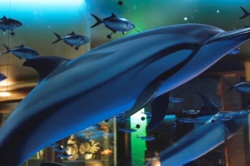 Gallery of Evolution Ticket in Paris - A family visit that does not demand constant activity
