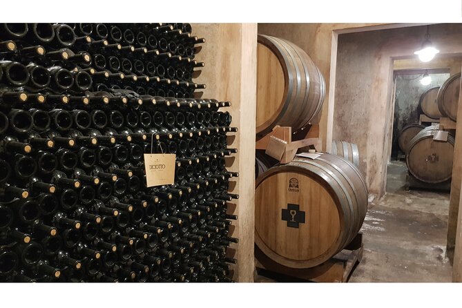 Gallipoli Full Day Private Tour: Coast, Beaches and Wineries - Tour Highlights