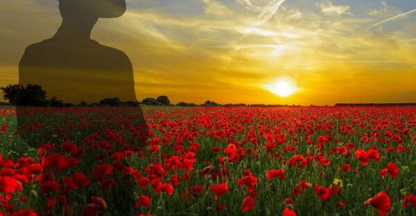 Gallipoli Full-Day Tour From Istanbul - Historical Significance of Gallipoli