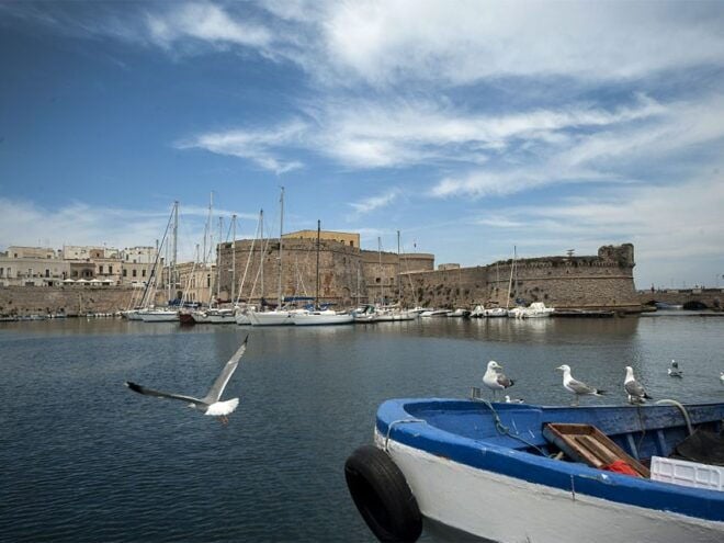 Gallipoli: Historic Guided Walking Tour - Inclusions
