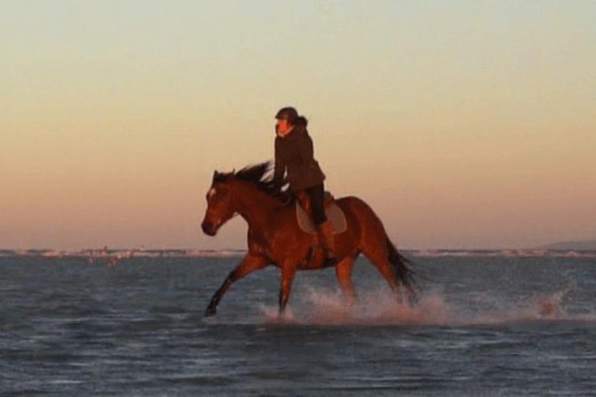 Gallop on Deauville Beach - Overview and Booking