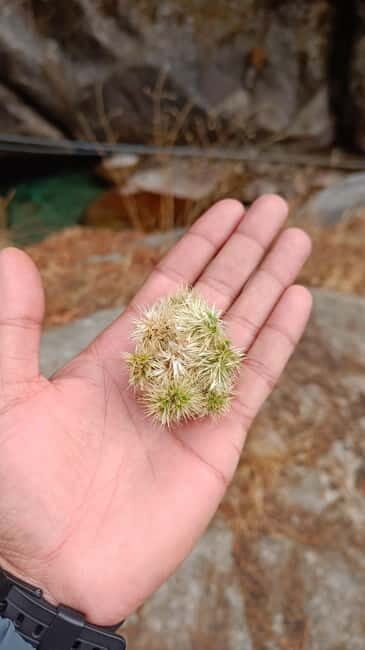 Gallu Waterfalls Hike - Woods, Birds, Nature, River & pool - Who’s This Tour Best For?