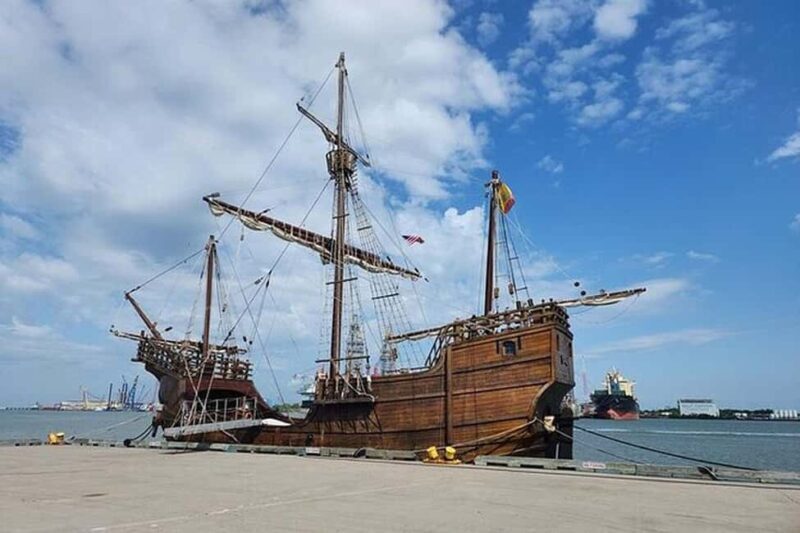 Galveston: Dolphin Watching Boat Tour in Galveston Bay - Practical Details & Tips for Your Trip