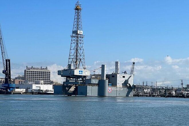 Galveston: Dolphin-Watching Cruise With Guaranteed Sightings - Frequently Asked Questions