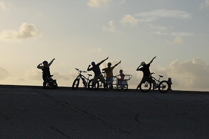 Galveston Island Art & Mural E-Bike Tour - Tour Highlights