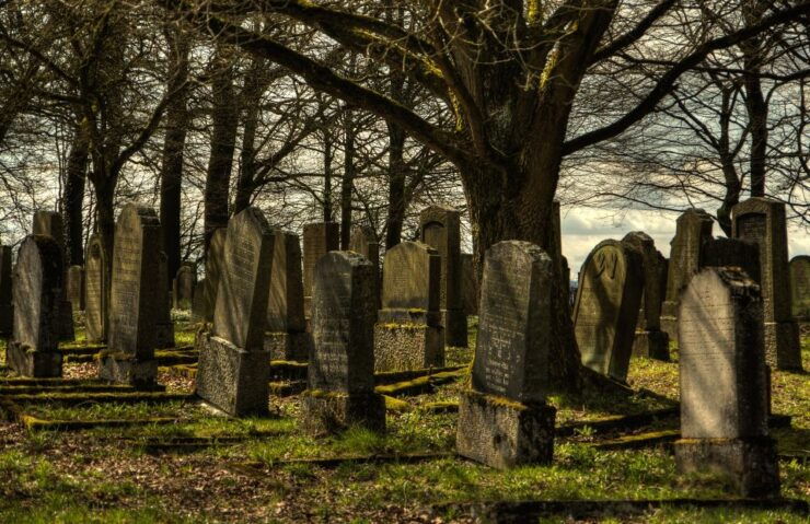 Galveston: Old City Cemetery Walking Tour With Local Guide - Tour Overview