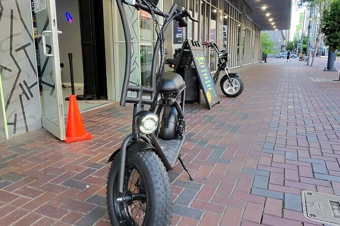 Galveston U2 Pro Self Guided Tour - Why Choose the Galveston U2 Pro Self-Guided Tour?