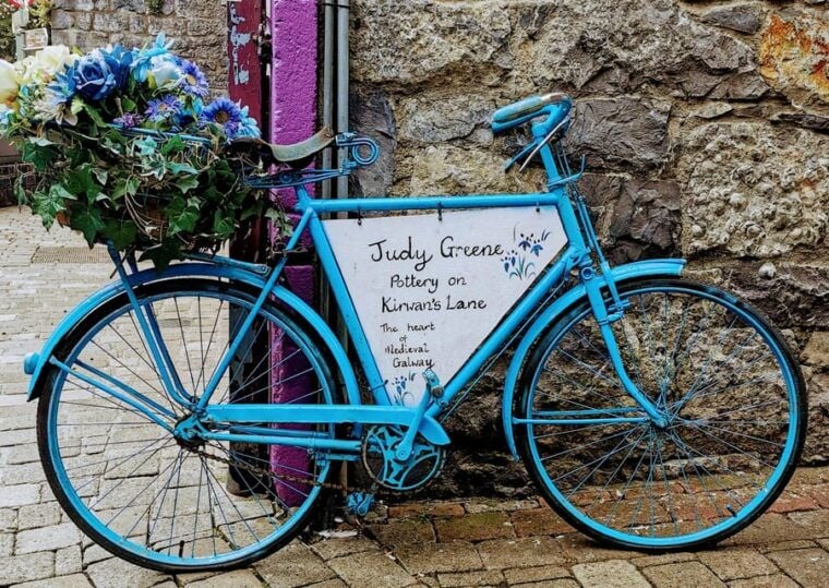 Galway City: Evening Guided Walking Tour of Galway City - Practical Details and Tips