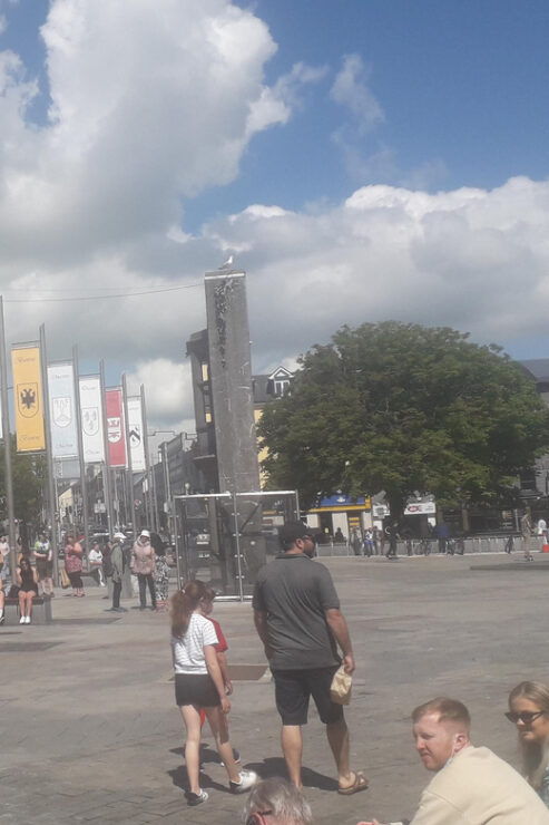 Galway City: Guided Walking Tour With an Expert - Good To Know