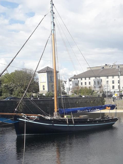 Galway City: Guided Walking Tour With an Expert - Scenic Walk and Cultural Insights