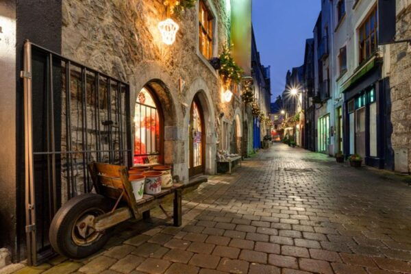 Galway Gourmet Adventure: A Culinary Odyssey - Inclusions for the Galway Gourmet Adventure