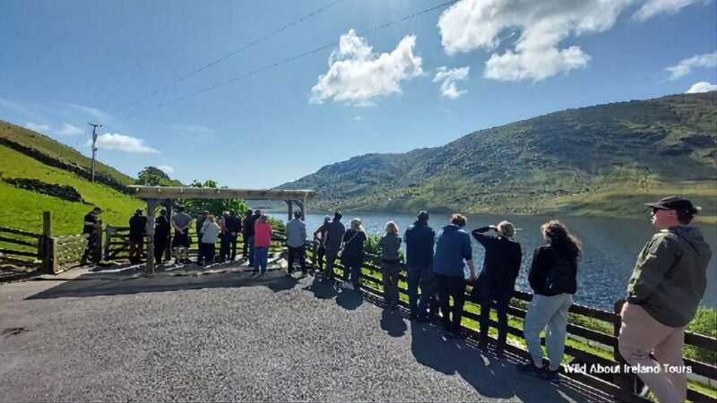 Galway: Kylemore, Sheep Farm and Connemara Private Day Tour - Good To Know