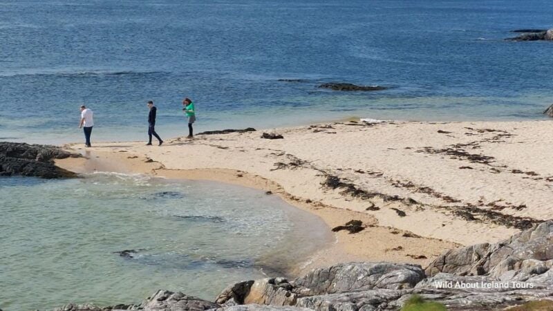 Galway: Kylemore, Sheep Farm and Connemara Private Day Tour - Practical Details and Tips