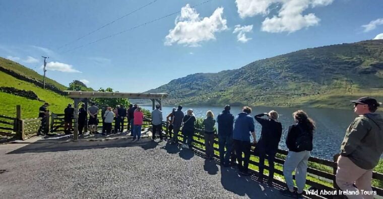 Galway: Kylemore, Sheep Farm and Connemara Private Day Tour - Who Will Love This Tour?