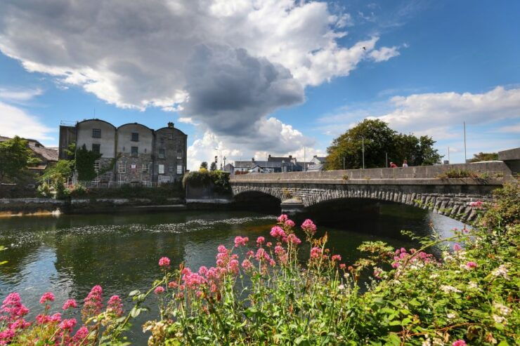 Galway: Private Historic Walking Tour With a Local Guide - Customer Reviews