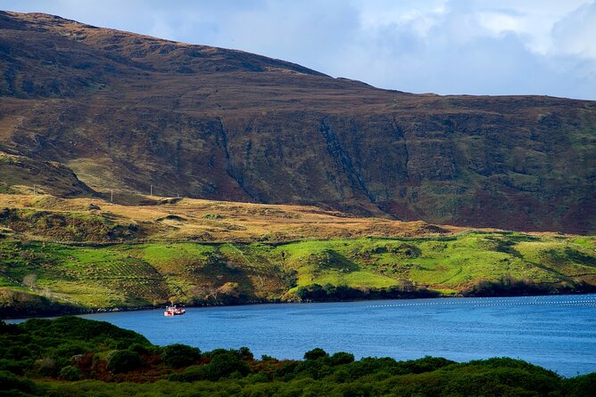 Galway to Connemara National Park Day Tour - Logistics