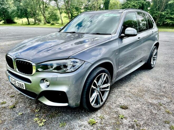 Galway to Limerick Private Transfer and Car Service - Amenities and Services Provided During the Transfer