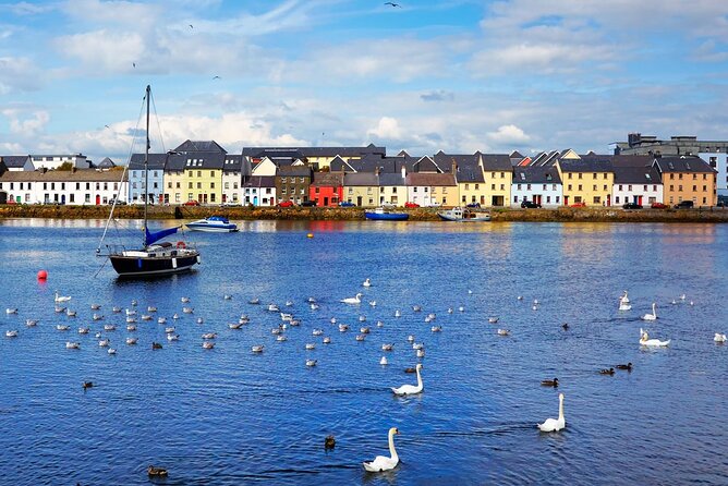 Galway Top Highlights & Claddagh Village Walking Tour - Immersive Experiences to Understand Galways Culture