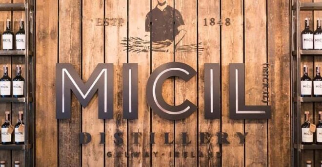 Galway: Traditional Irish Poitin & Gin Distillery Tour - Tasting the Poitin and Gin