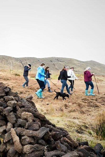 Galway: Working Sheep Farm Guided Visit With Herding Demo - Customer Feedback and Ratings