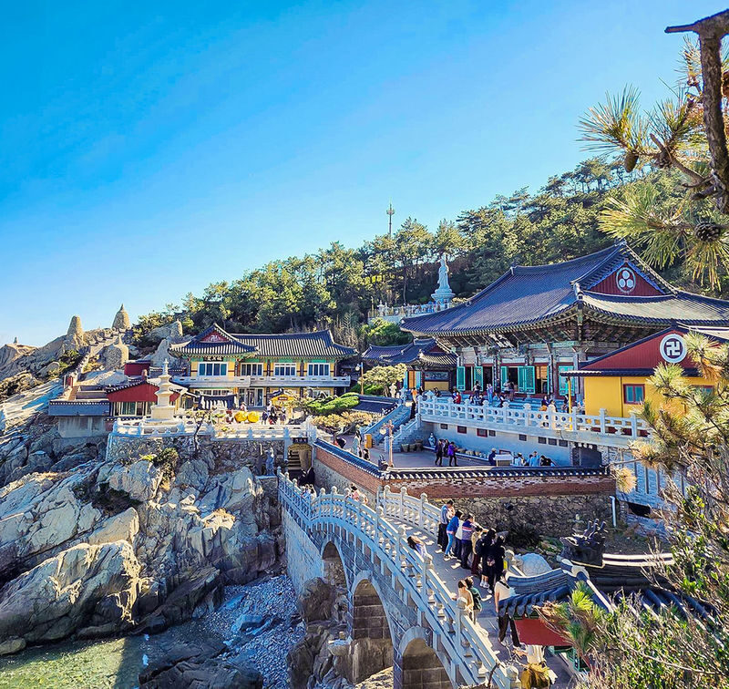 Gamcheon & Haedong Yonggung Temple Full-Day Tour with Transport from Daegu - Who is likely to enjoy this day