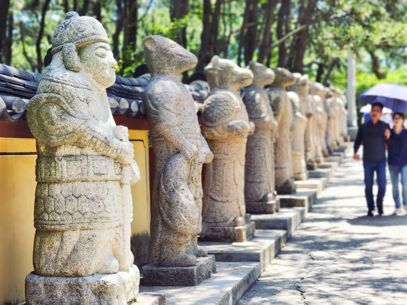 Gamcheon & Haedong Yonggung Temple Full-Day Tour with Transport from Daegu - Practical details worth checking