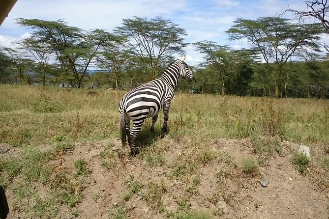 Game Drive Amboseli National Park Day Tour - Additional Information