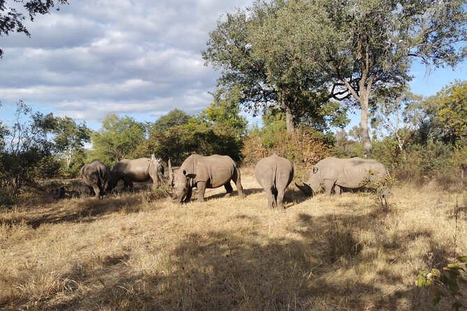 Game Drive And Rhino Safari in Livingstone - Pickup Points and Transportation