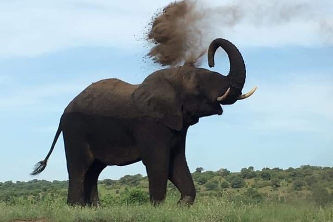 Game Drive in the Mosi-Oa-Tunya National Park From Livingstone - Booking Information