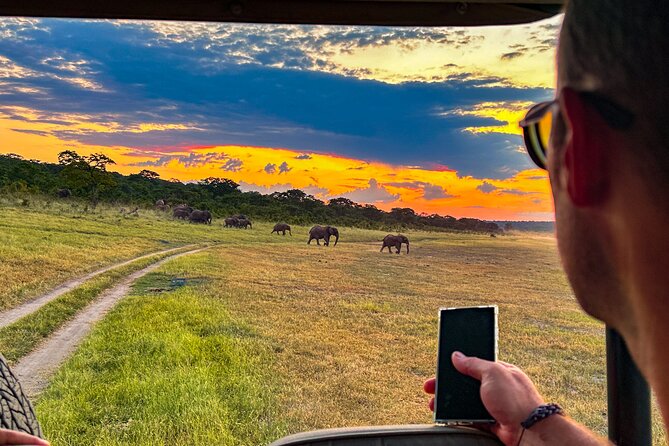 Game Drive in Zambezi National Park, Victoria Falls - Good To Know