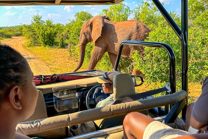 Game Drive in Zambezi National Park, Victoria Falls - General Information and Directions