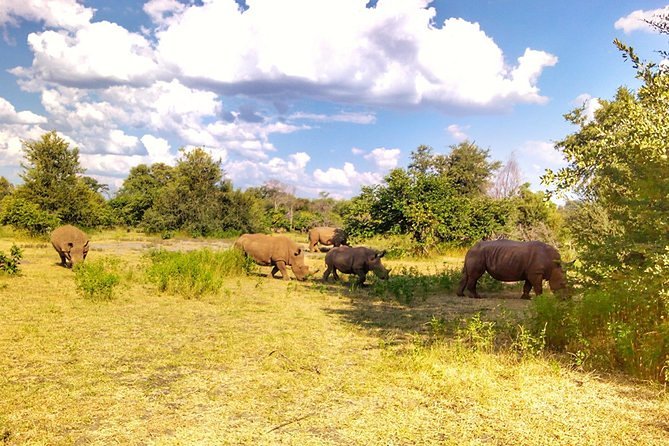 Game Drive Into the Musi Otunya National Park - Good To Know