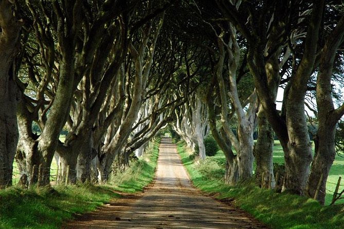 Game of Thrones and Giants Causeway Day Tour From Belfast - Whats Included