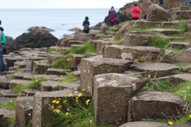 Game of Thrones and Giants Causeway Day Tour From Belfast - The Sum Up