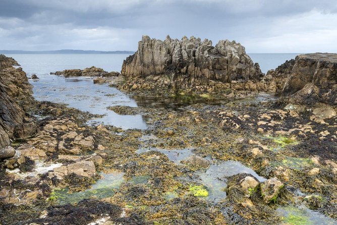 Game of Thrones and Giants Causeway Full-Day Tour From Belfast - Tour Details