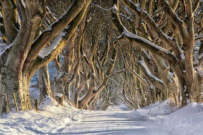 Game of Thrones Film Tour From Dublin With Giants Causeway - Cancellation Policy and Refunds