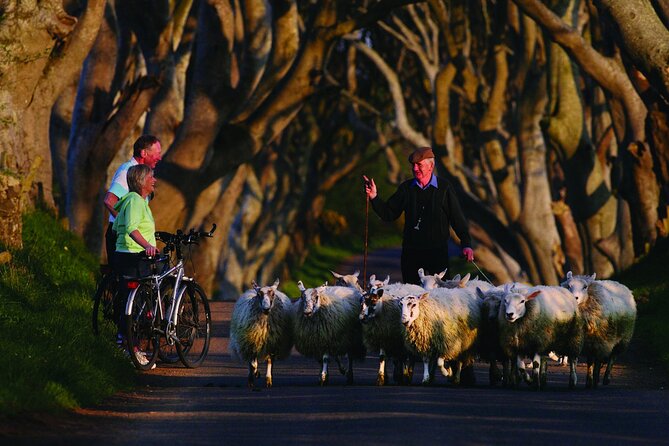 Game of Thrones Film Tour From Dublin With Giants Causeway - Customer Feedback and Reviews