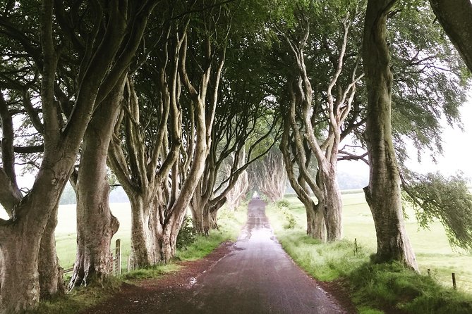 Game of Thrones® Hang Out With Hodor Private Tours - Tour Highlights