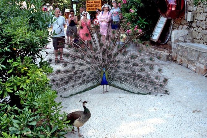 Game of Thrones Lokrum Special in Dubrovnik - Tour Details