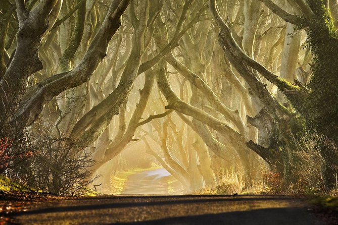 Game of Thrones - Private Audi A6 Tour With Richard the Wildling - Itinerary